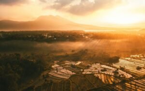 Lees meer over het artikel Bali Uncovered: A Journey Beyond the Beaches