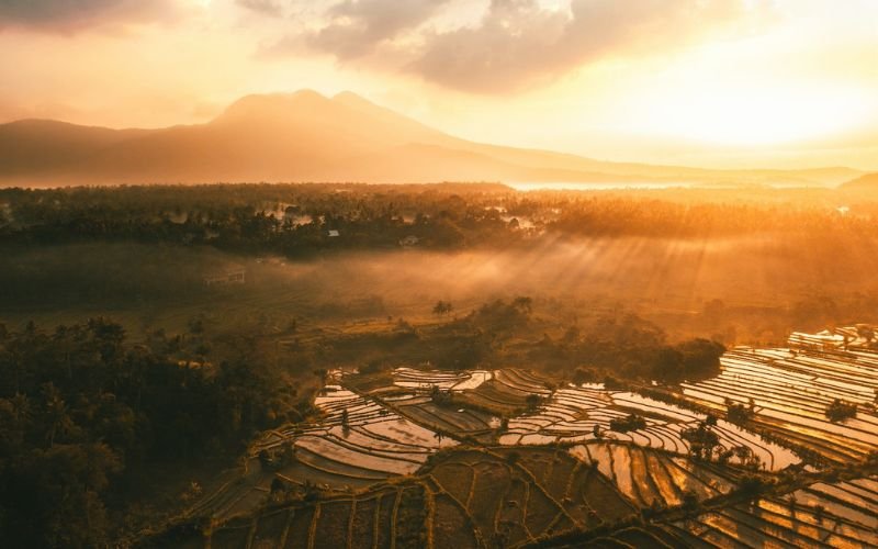 Lees meer over het artikel Bali Uncovered: A Journey Beyond the Beaches